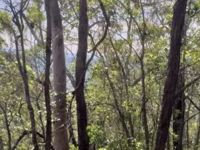 Seventh view of Homely land listing, Lot 351 Streeter Drive, Agnes Water QLD 4677