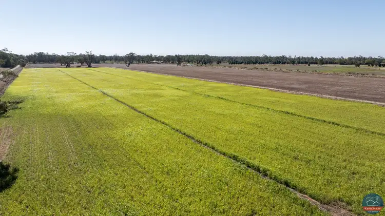 Main view of Homely rural property listing, 625 Baldwin Road, Harston VIC 3616