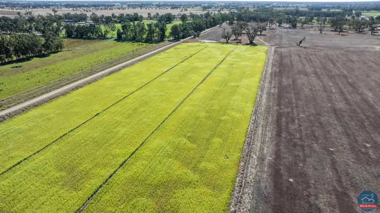 Sixth view of Homely rural property listing, 625 Baldwin Road, Harston VIC 3616