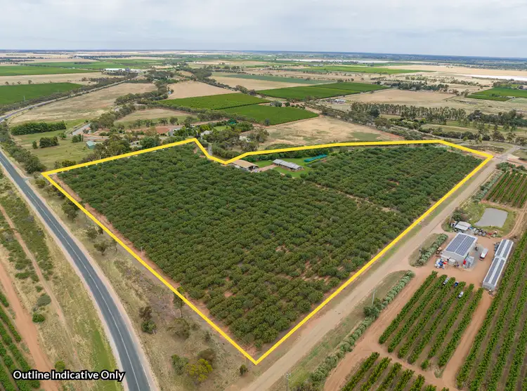 23 Willox Road, Swan Hill VIC 3585