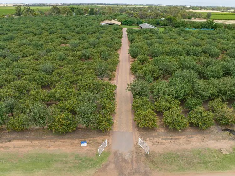 Second view of Homely rural property listing, 23 Willox Road, Swan Hill VIC 3585