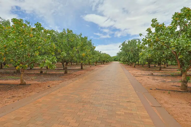 Fourth view of Homely rural property listing, 23 Willox Road, Swan Hill VIC 3585