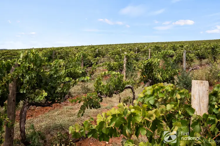 Third view of Homely rural property listing, 70 Shiraz Drive, Gulgong NSW 2852