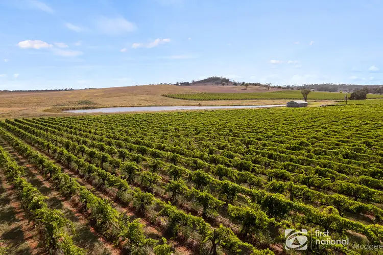 Fourth view of Homely rural property listing, 70 Shiraz Drive, Gulgong NSW 2852