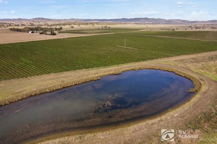 Fifth view of Homely rural property listing, 70 Shiraz Drive, Gulgong NSW 2852