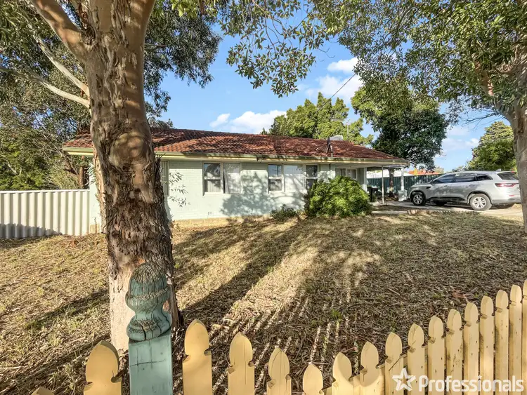 Second view of Homely house listing, 135 Culloton Crescent, Balga WA 6061