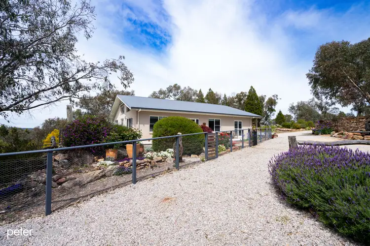 Fourth view of Homely rural property listing, 170 Spring Vale Lane, Molong NSW 2866
