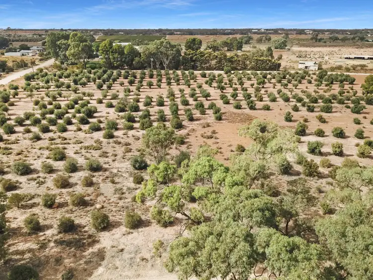 Fourth view of Homely land listing, Section 67 Coats Road, Cadell SA 5321