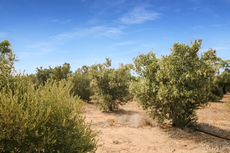 Fifth view of Homely land listing, Section 67 Coats Road, Cadell SA 5321