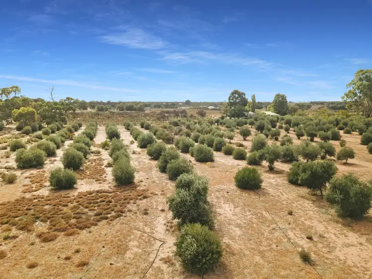 Seventh view of Homely land listing, Section 67 Coats Road, Cadell SA 5321