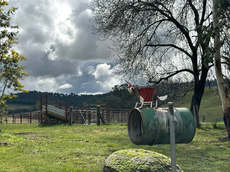 Main view of Homely rural property listing, 234 Taradale Road, Tumbarumba NSW 2653