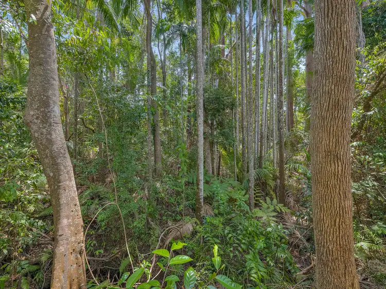 Fourth view of Homely land listing, 56A Chevallum Road, Palmwoods QLD 4555