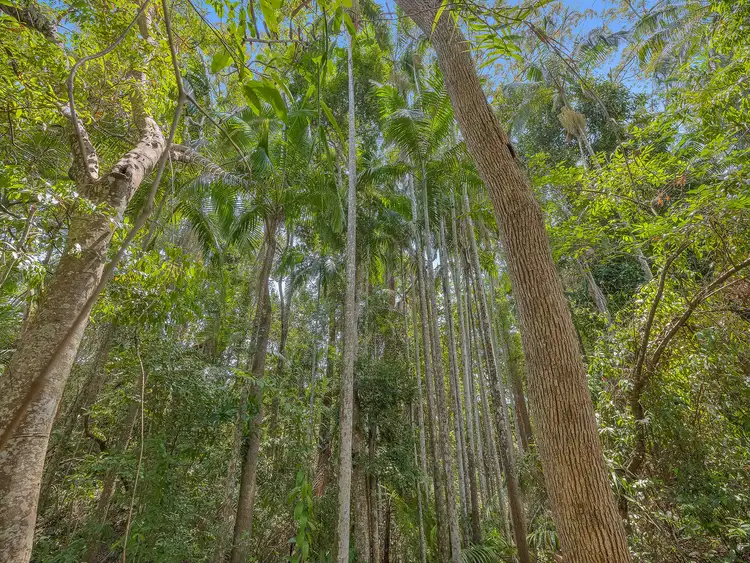 Fifth view of Homely land listing, 56A Chevallum Road, Palmwoods QLD 4555