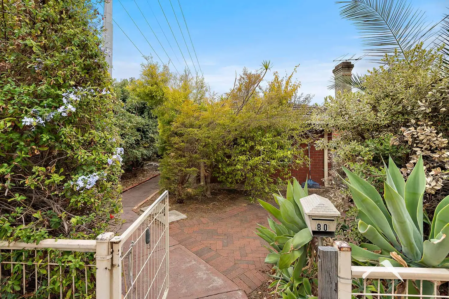 Main view of Homely house listing, 80 Forrest Street, Mount Lawley WA 6050