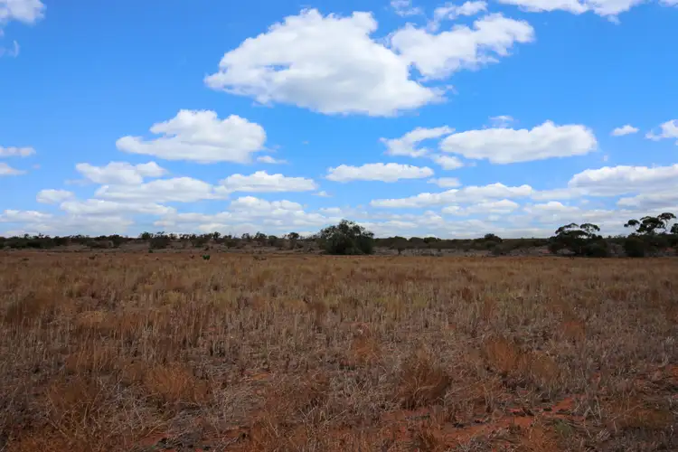 Fifth view of Homely land listing, Pieces 50 & 56 Murrayview Road, Qualco SA 5322