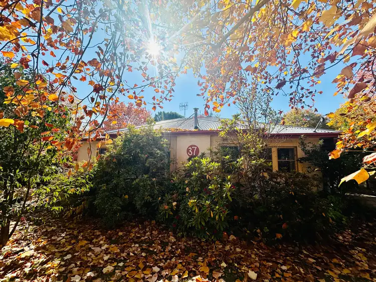 37 Bridge Street, Tumbarumba NSW 2653