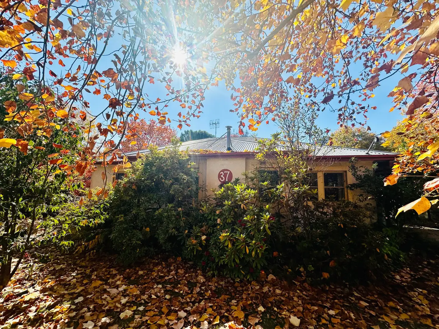 Main view of Homely house listing, 37 Bridge Street, Tumbarumba NSW 2653