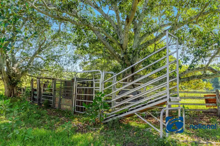 Third view of Homely rural property listing, 6449 Bruxner Highway, Mummulgum NSW 2469