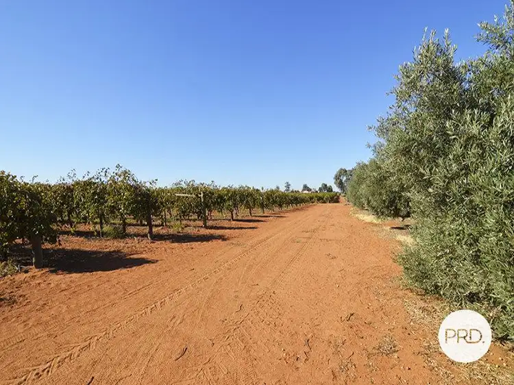 Third view of Homely land listing, Lot 2, 357 Paschendale Avenue, Merbein VIC 3505