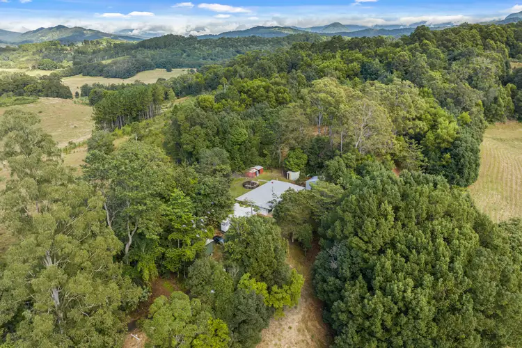 Second view of Homely rural property listing, 477 Nobbys Creek Road, Nobbys Creek NSW 2484
