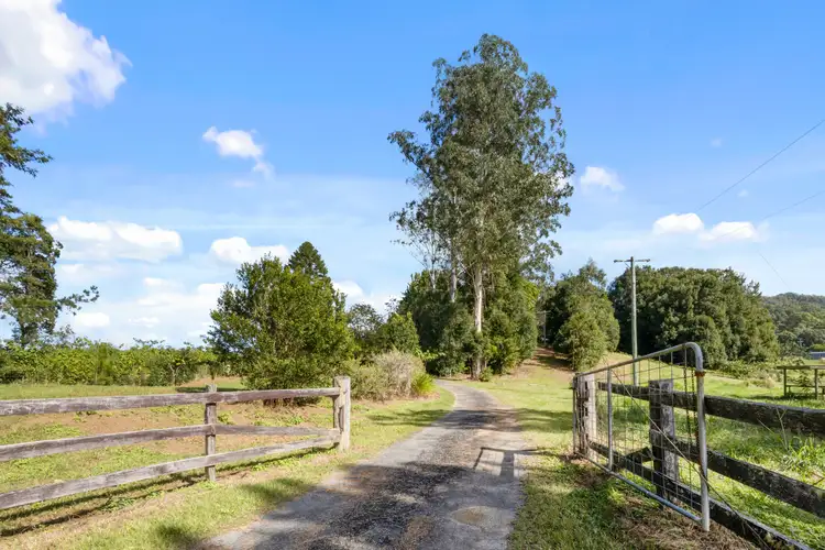 Fourth view of Homely rural property listing, 477 Nobbys Creek Road, Nobbys Creek NSW 2484