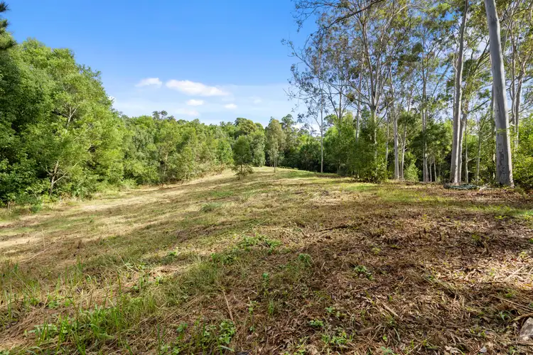 Fifth view of Homely rural property listing, 477 Nobbys Creek Road, Nobbys Creek NSW 2484