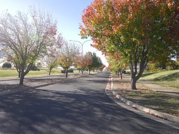 Fifth view of Homely land listing, 19 Pinot Street, Cowra NSW 2794
