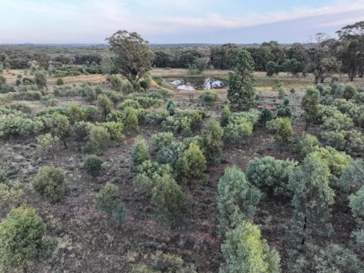 Fourth view of Homely rural property listing, 'Heathwren' 788 Buddigower Road, Alleena NSW 2671