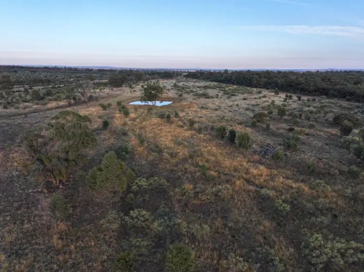 Seventh view of Homely rural property listing, 'Heathwren' 788 Buddigower Road, Alleena NSW 2671
