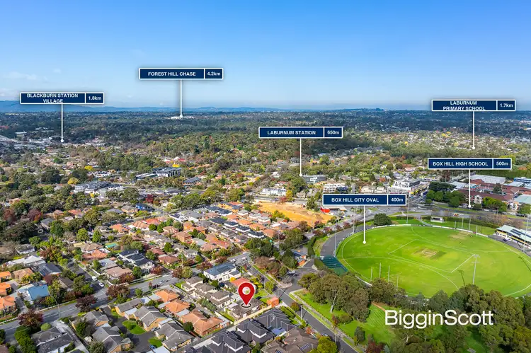 Fourth view of Homely house listing, 25 Davey Street, Box Hill VIC 3128