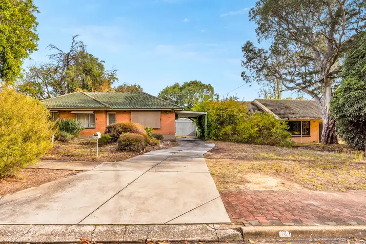 64 Littler Drive