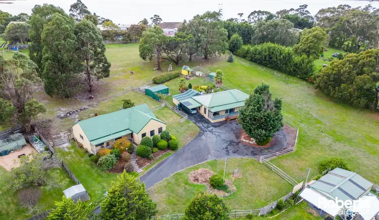 Second view of Homely house listing, 31 Penelope Street, St Helens TAS 7216
