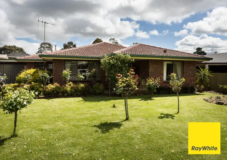 Main view of Homely house listing, 137 O'Reilly Road, Tatura VIC 3616