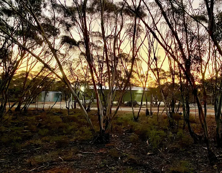 Sec 66 Hundred of Brownlow, Brownlow SA 5374