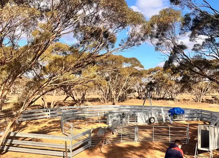 Third view of Homely rural property listing, Sec 66 Hundred of Brownlow, Brownlow SA 5374