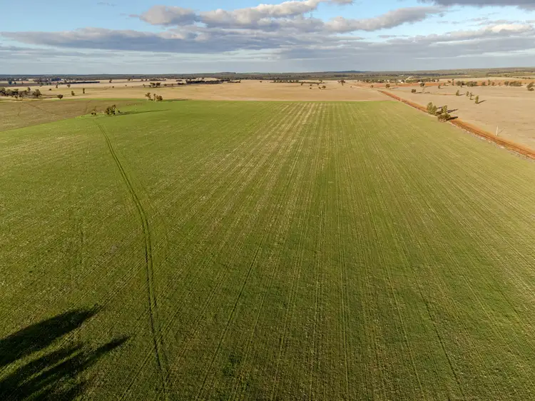'Killarney' 695 Quilties Corner Road, West Wyalong NSW 2671