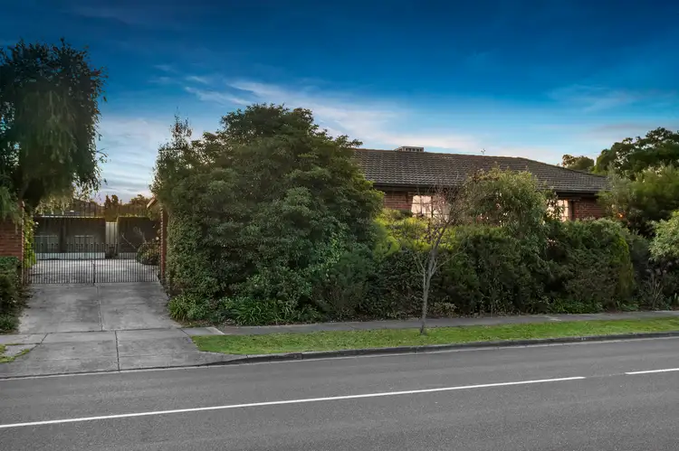 Main view of Homely house listing, 81 Renou Road, Wantirna South VIC 3152