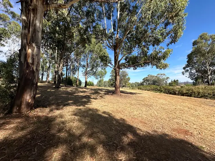 Seventh view of Homely rural property listing, 1438 Batlow Road, Tumbarumba NSW 2653