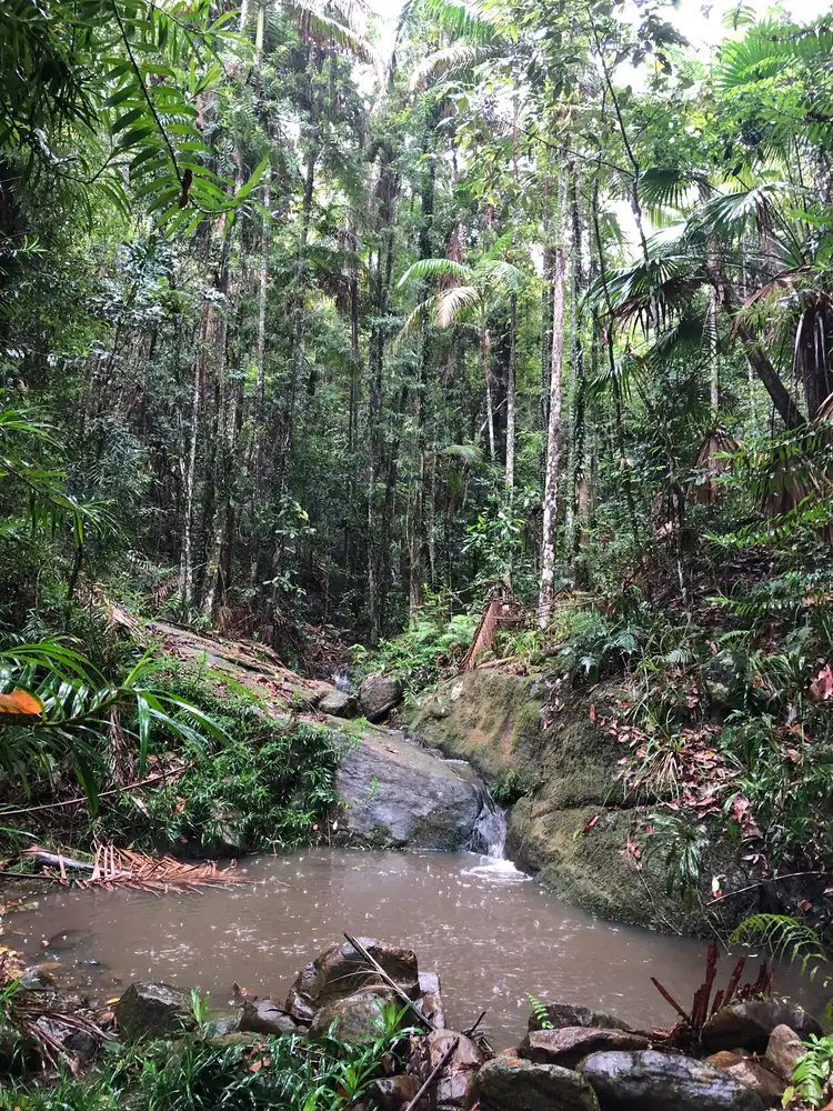 Second view of Homely land listing, 7 Ashdown Court, Tinbeerwah QLD 4563