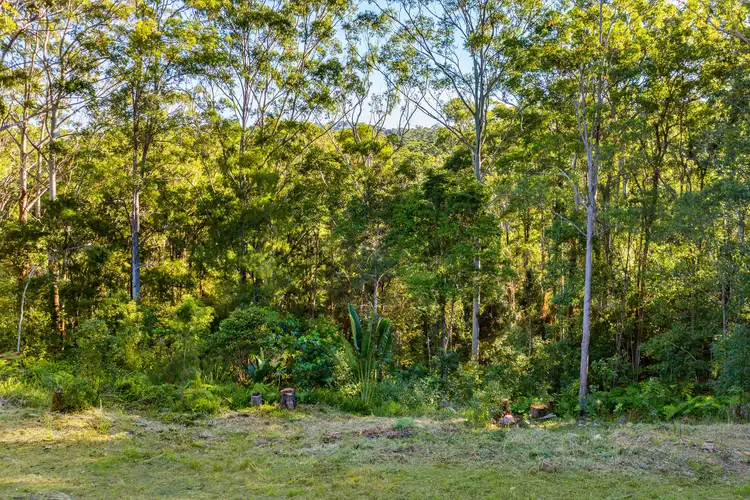 Seventh view of Homely land listing, 7 Ashdown Court, Tinbeerwah QLD 4563