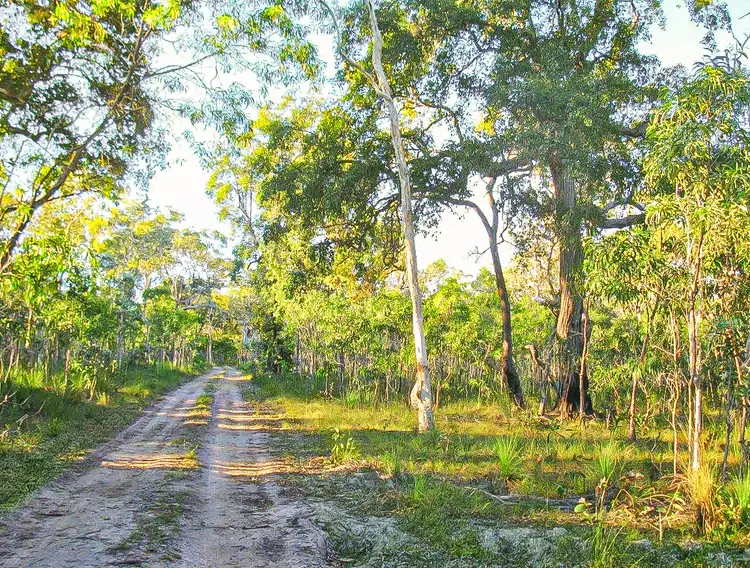 Fifth view of Homely land listing, 394 Murphy Road, Captain Creek QLD 4677