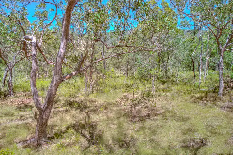 Fifth view of Homely land listing, 479 Davies Road, Captain Creek QLD 4677