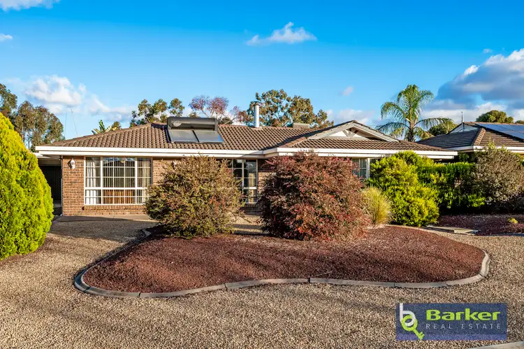 100 Fiddlewood Drive, Freeling SA 5372