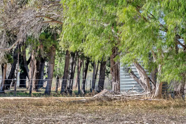 Sixth view of Homely land listing, 21 Marlock Place, Karnup WA 6176