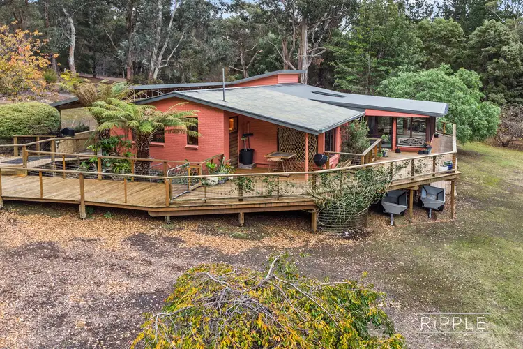 Second view of Homely house listing, 16 Mathinna Road, Oyster Cove TAS 7150