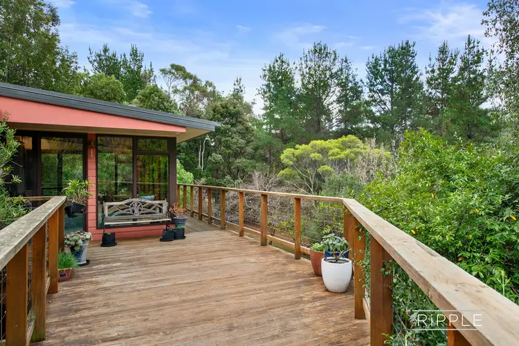 Fourth view of Homely house listing, 16 Mathinna Road, Oyster Cove TAS 7150