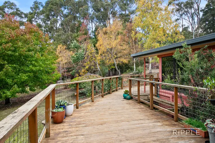 Fifth view of Homely house listing, 16 Mathinna Road, Oyster Cove TAS 7150