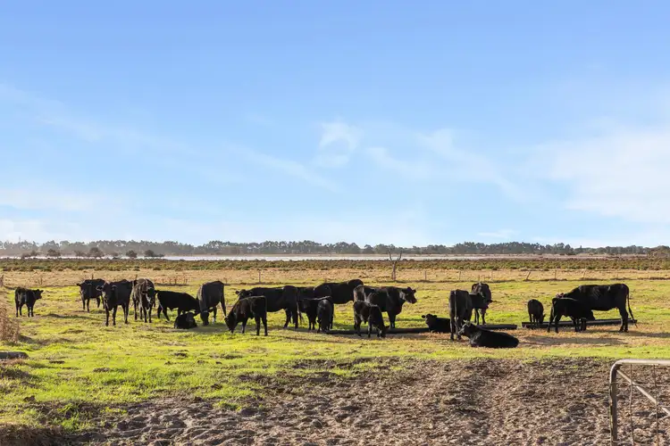 Sixth view of Homely house listing, 4762 Bussell Highway, Reinscourt WA 6280