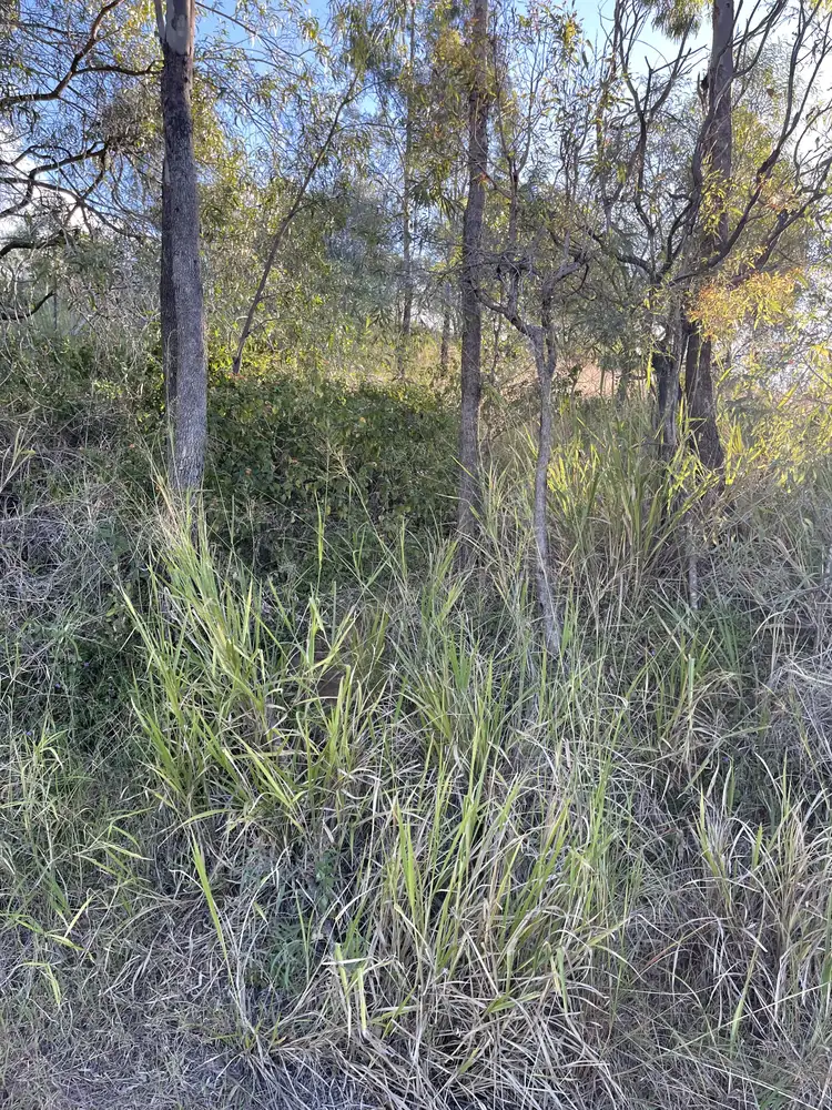 Fifth view of Homely land listing, 176 RIFLE RANGE ROAD, Walterhall QLD 4714