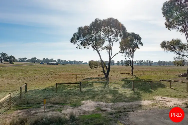 Fifth view of Homely land listing, 295 Pethericks Road, Goornong VIC 3557